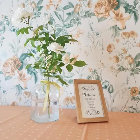 Gyula Apartment *