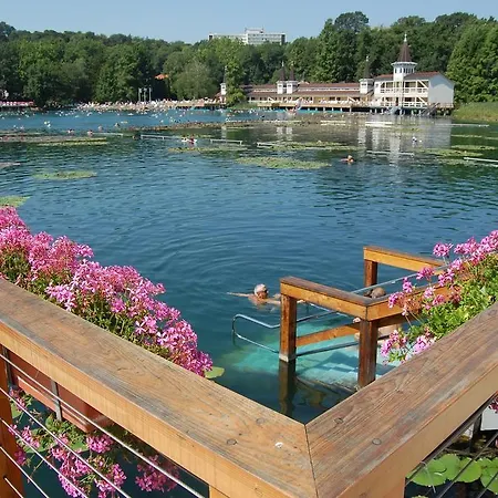 Gyula Apartment Heviz